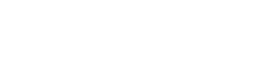 Go Chiro Logo
